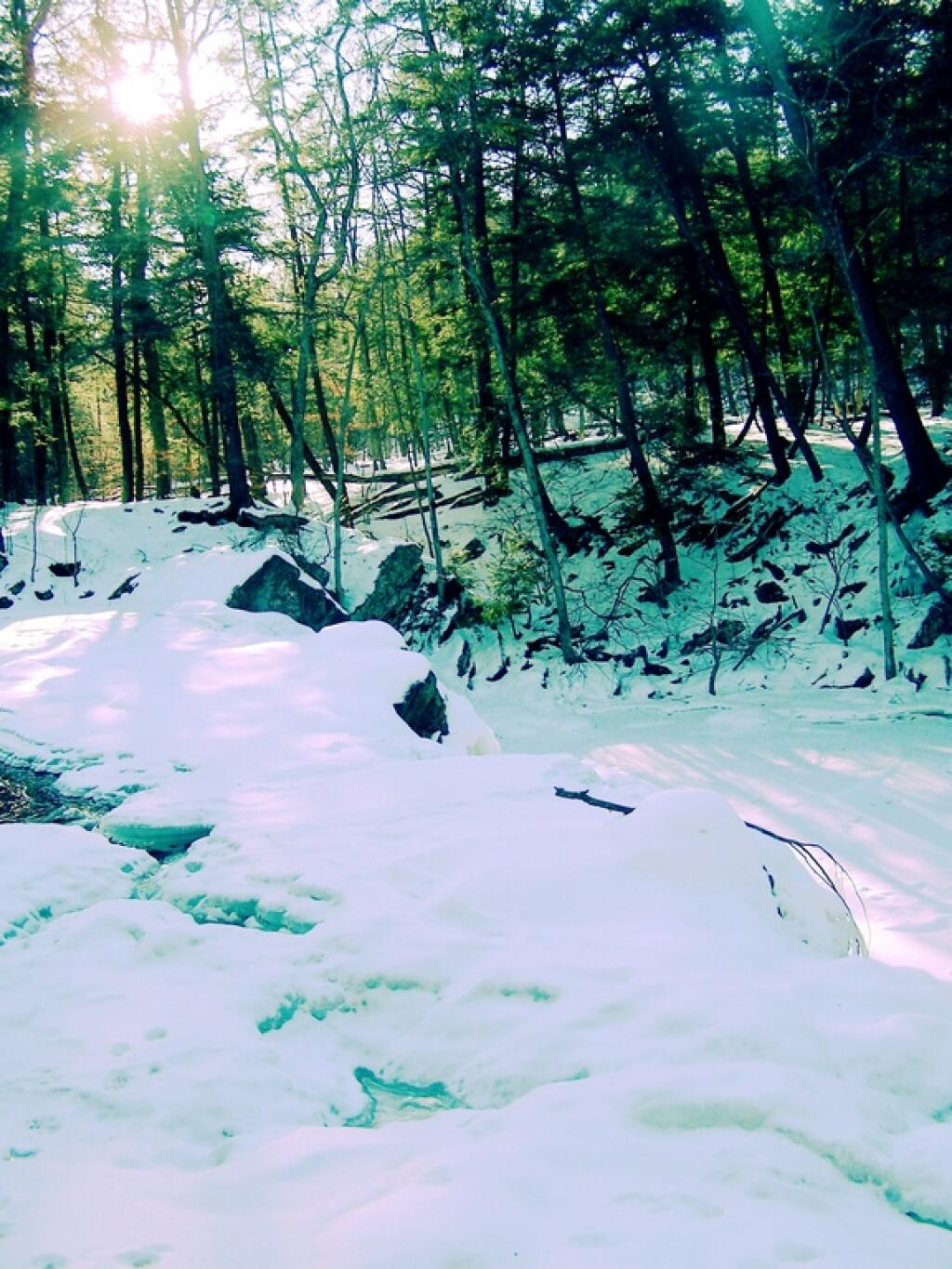 Photo: Green Falls