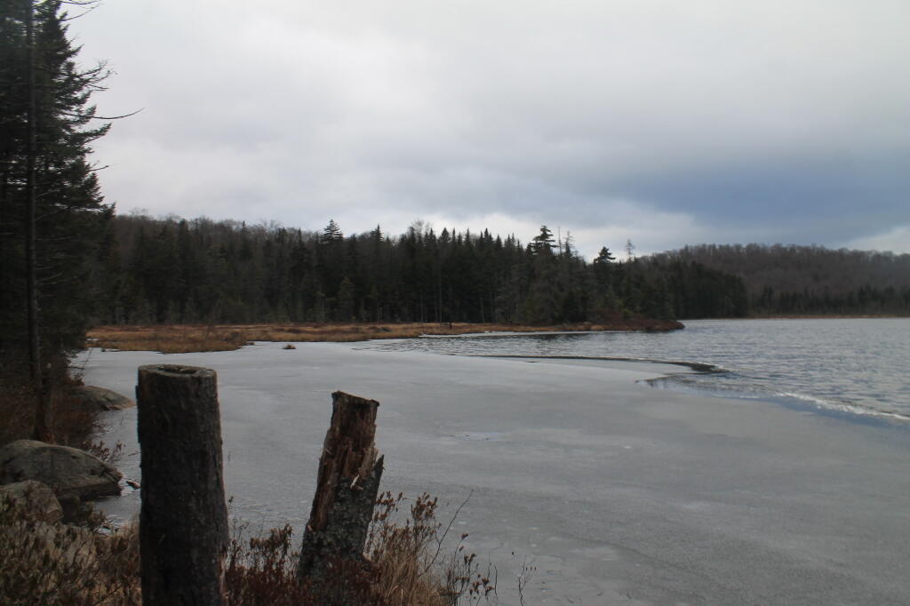 Photo: Southeast Across Rankin Pond