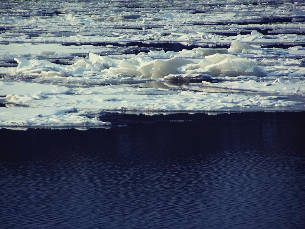 Photo: Open Water Photo: Open Water
