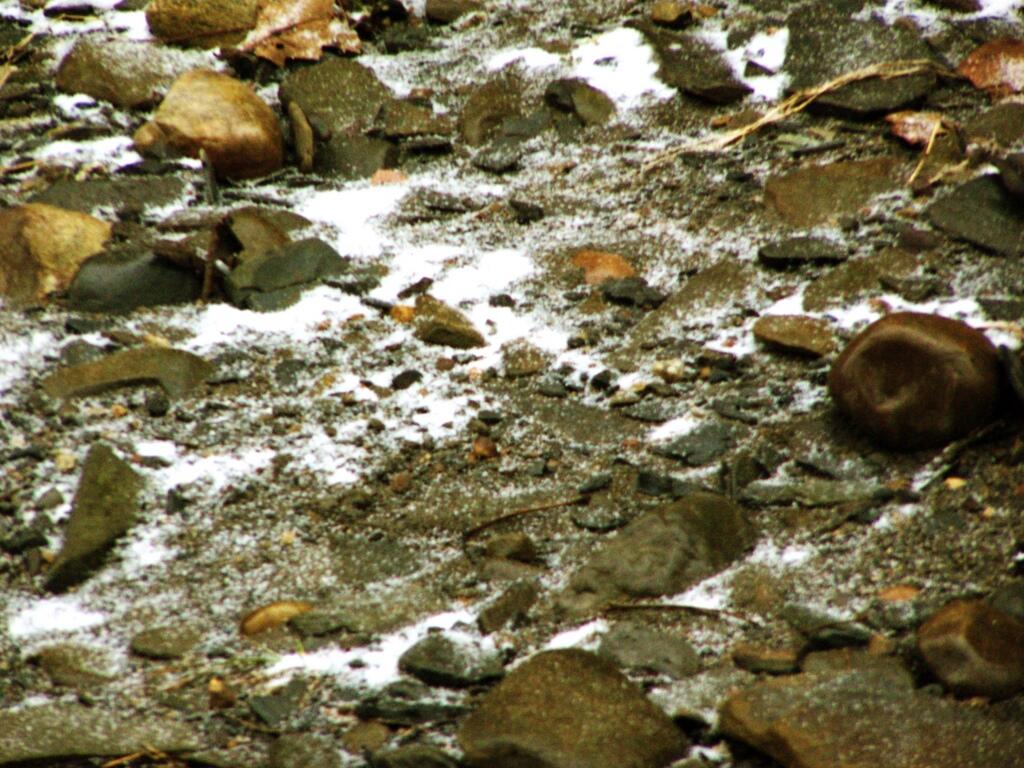 Photo: Still On Ground Photo: Still On Ground