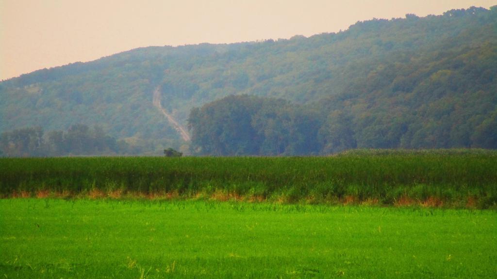 Photo: Hazy Saturday Evening at Catharine Creek Marsh Photo: Hazy Saturday Evening at Catharine Creek Marsh