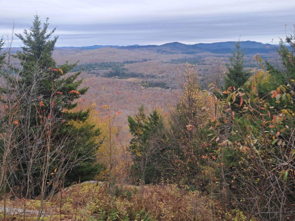 Photo: Northern Views Along Floodwood Road Photo: Northern Views Along Floodwood Road