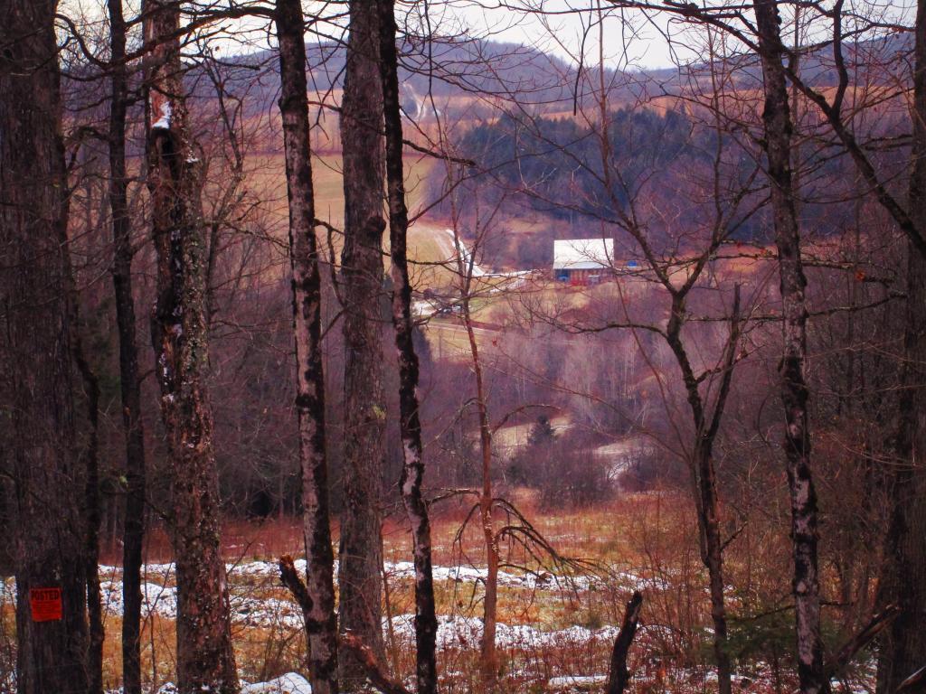 Photo: View from the Horse Trail 30