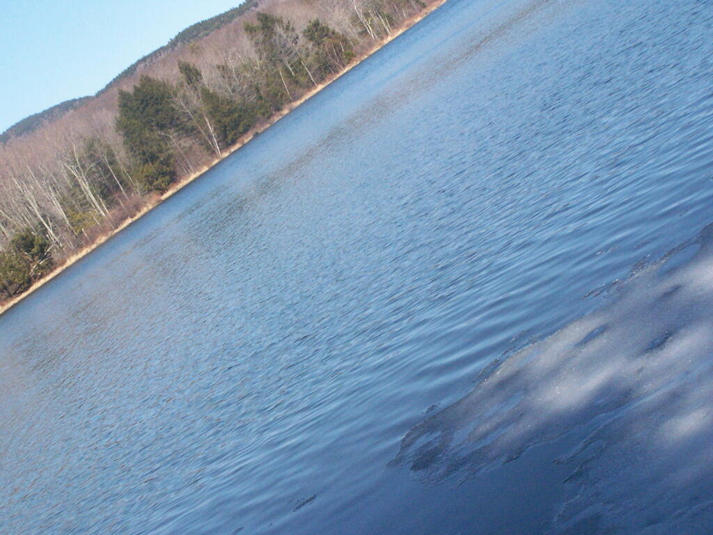 Photo: Thawed Ice