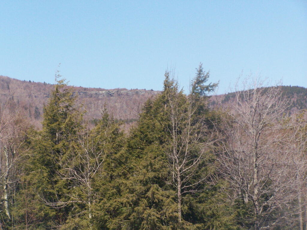 Photo: North Mountain Photo: North Mountain