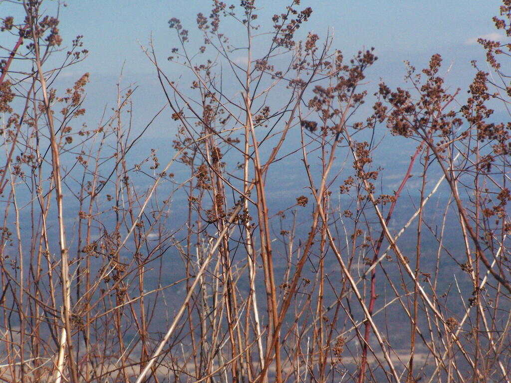 Photo: Hay Ridge