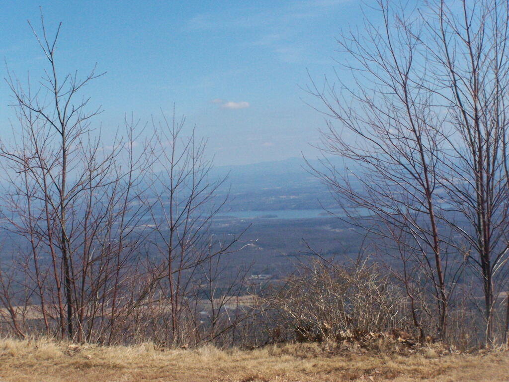 Photo: Mountains thru Trees