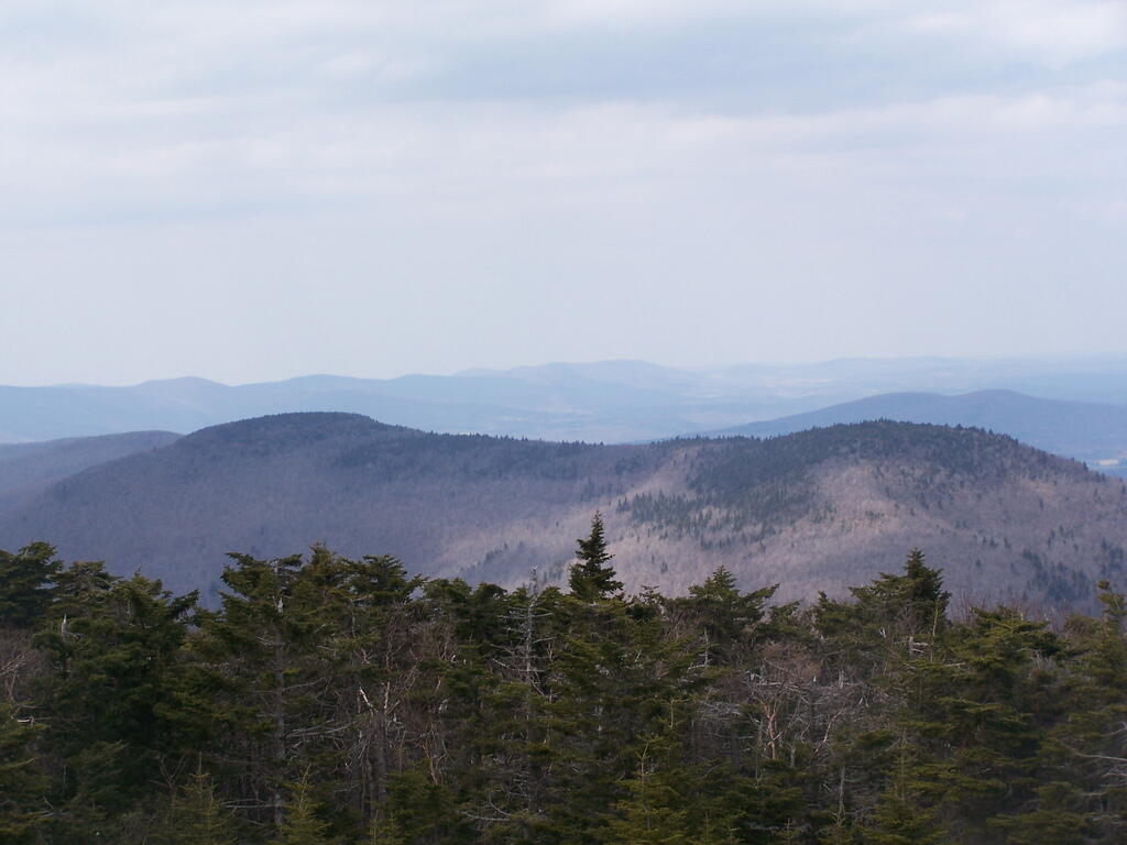 Photo: From Hunter Tower NW