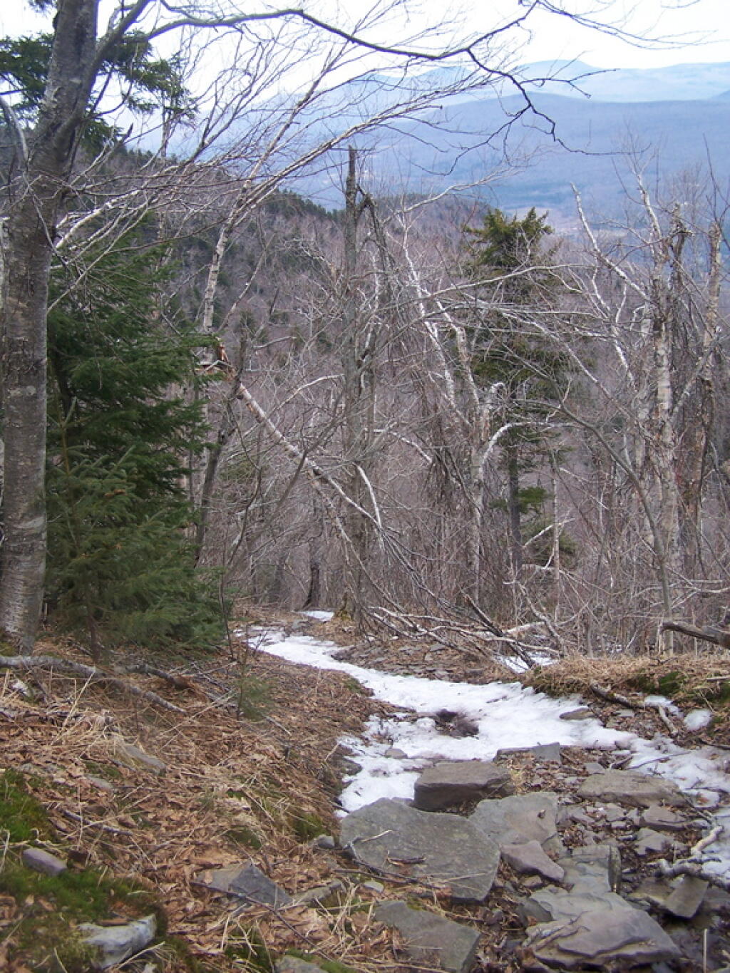 Photo: Slippery Descent