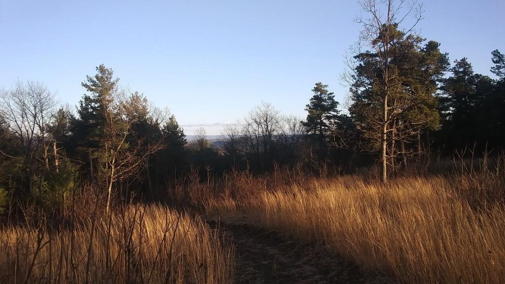 Photo: Evening Walk on Blodgett Hill Photo: Evening Walk on Blodgett Hill