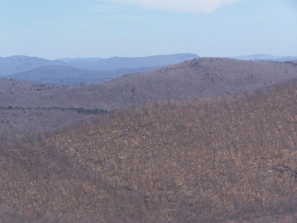 Photo: West from Tower