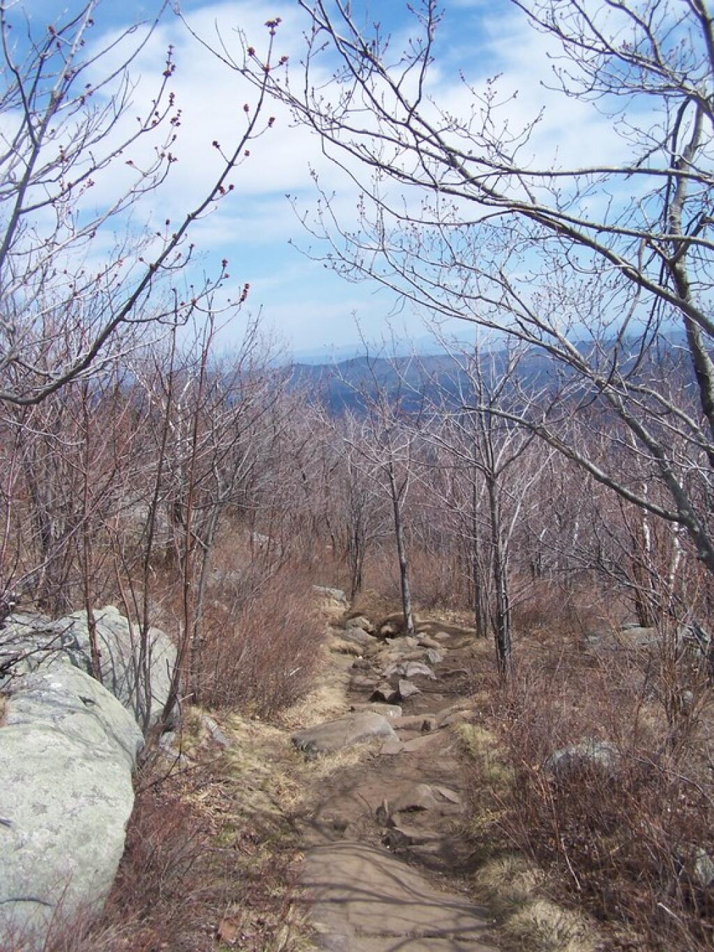 Photo: Descending the Hill Photo: Descending the Hill