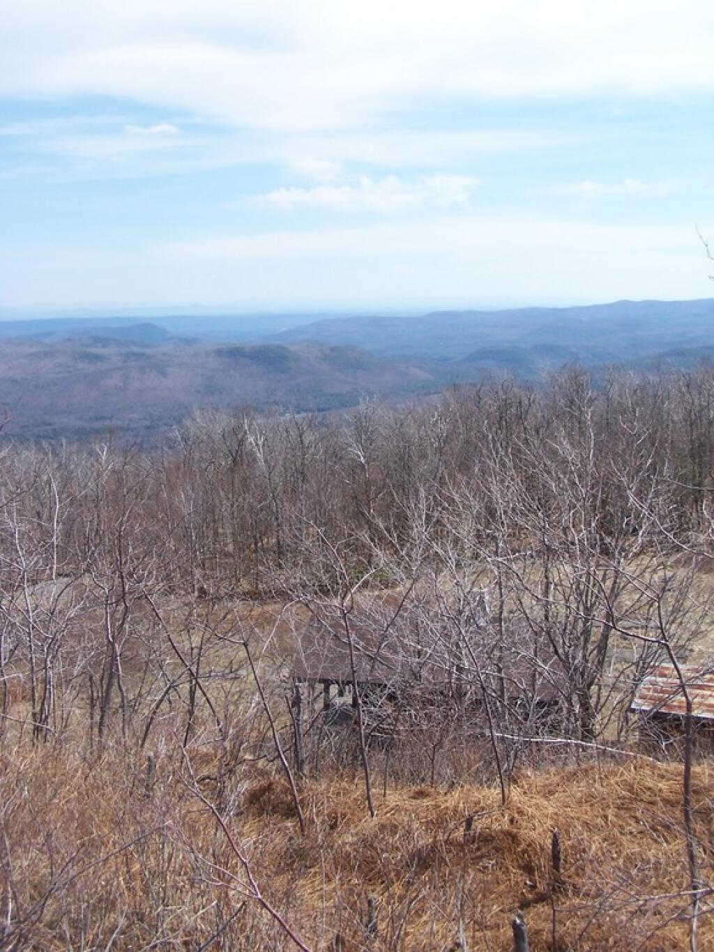 Photo: South Views