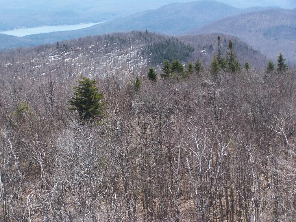 Photo: Some Snow Left