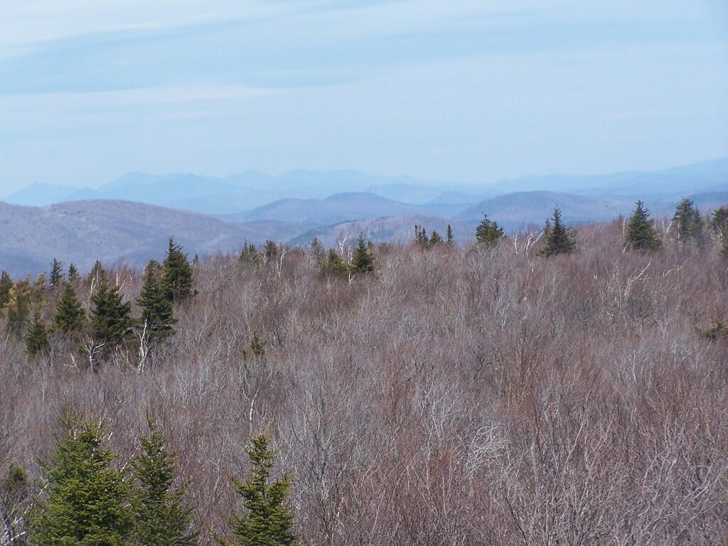 Photo: Wilcox Lake Wild Forest