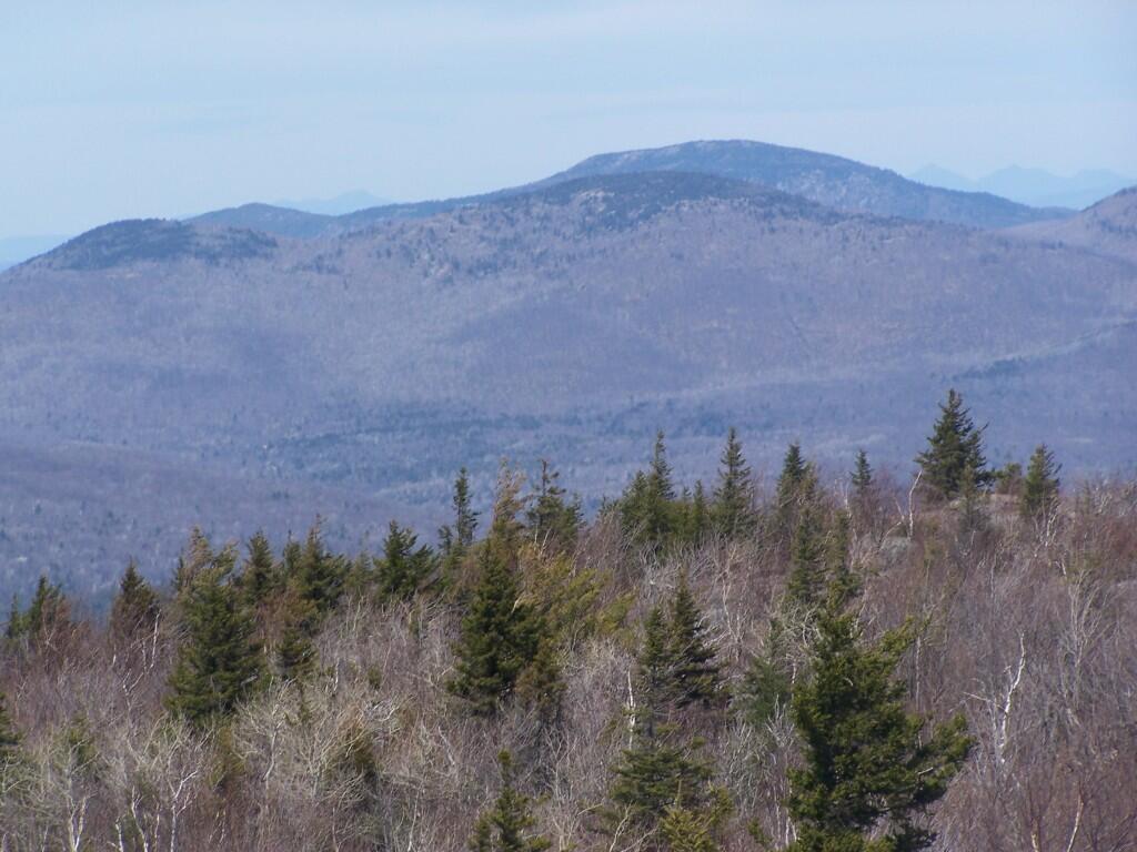 Photo: Spruce Mountain