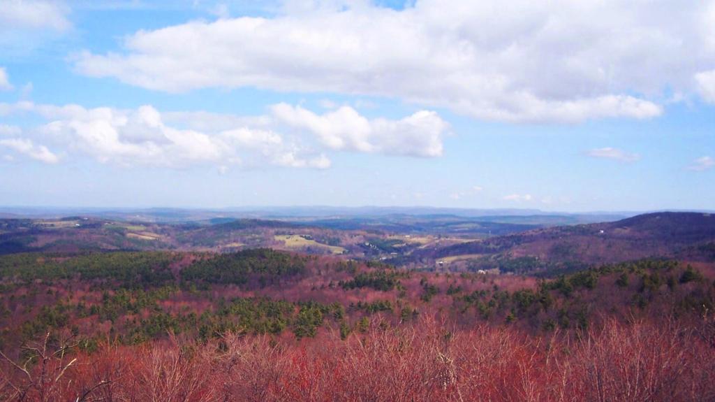 Photo: North View from Beebe Fire Tower Photo: North View from Beebe Fire Tower