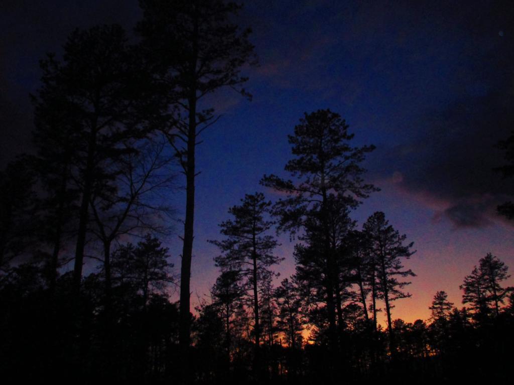 Photo: Pine Bush After the Hike