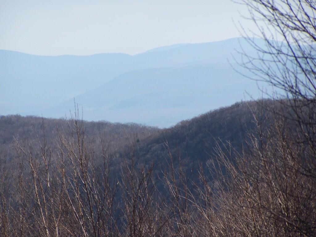 Photo: Mountains Through Trees