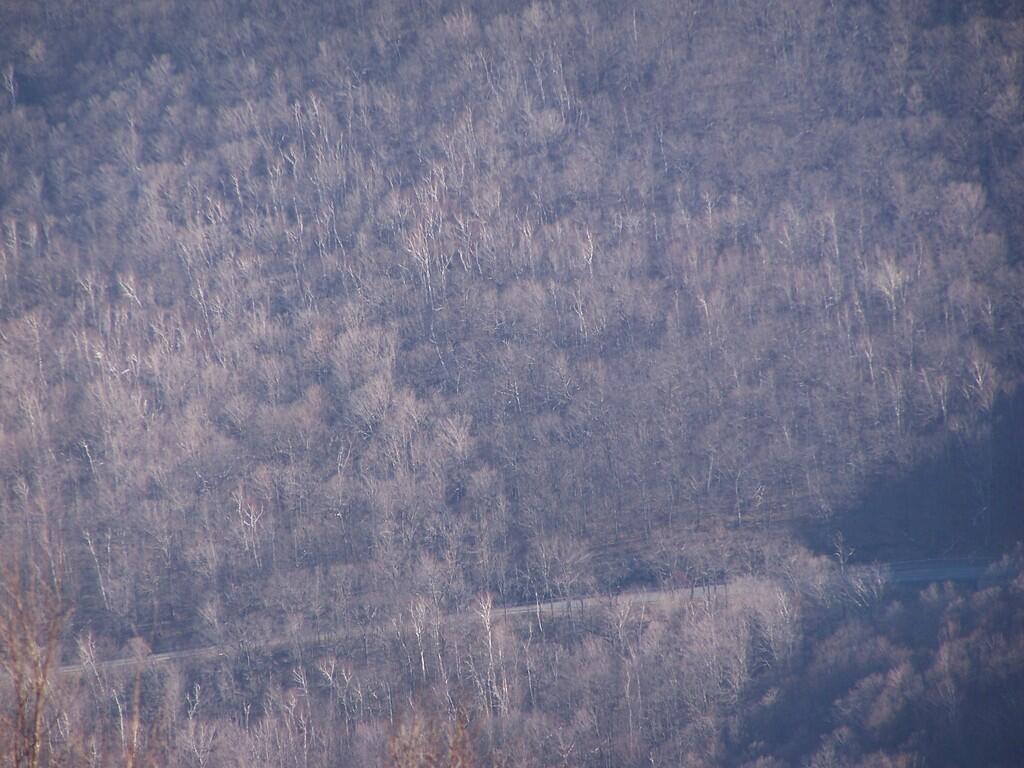 Photo: Petersburgh Trail