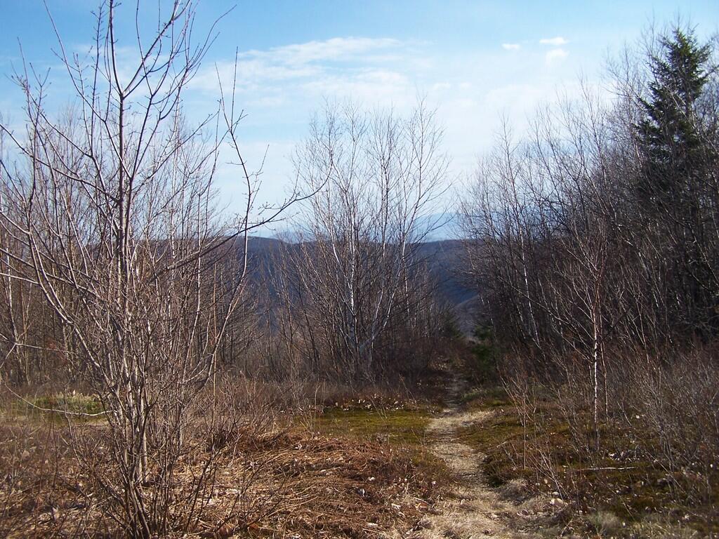 Photo: Paths Photo: Paths
