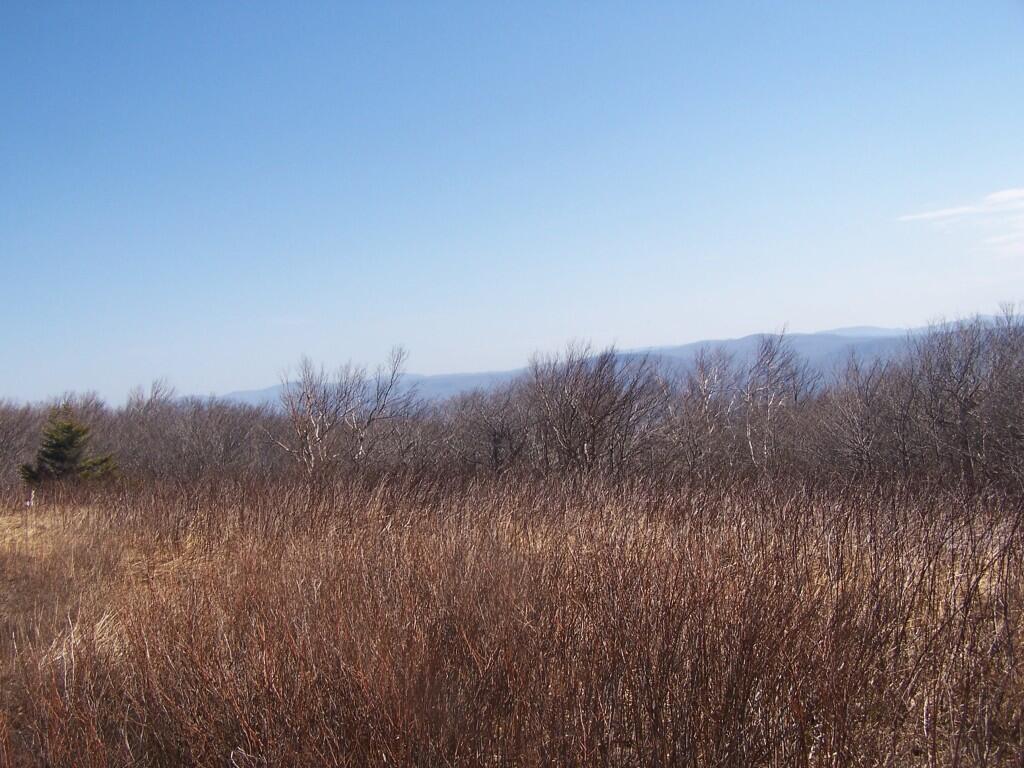Photo: North from Berlin Mountain