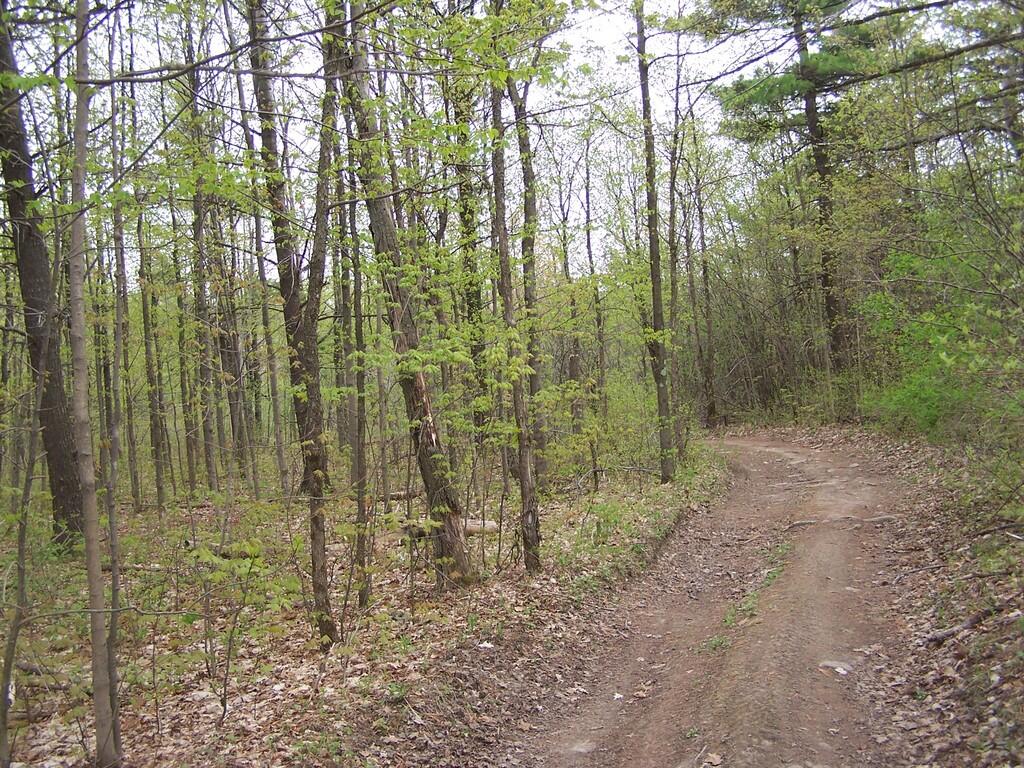 Photo: Trail to Hanger Glider Cliff Photo: Trail to Hanger Glider Cliff