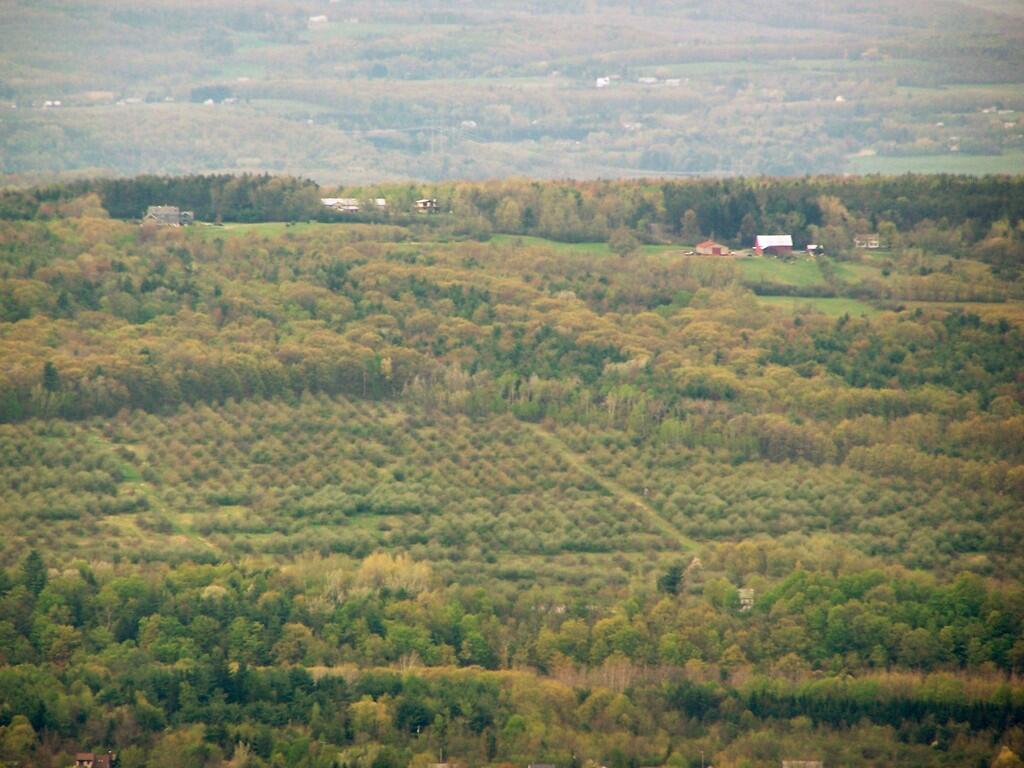 Photo: Altamont Orchards Photo: Altamont Orchards