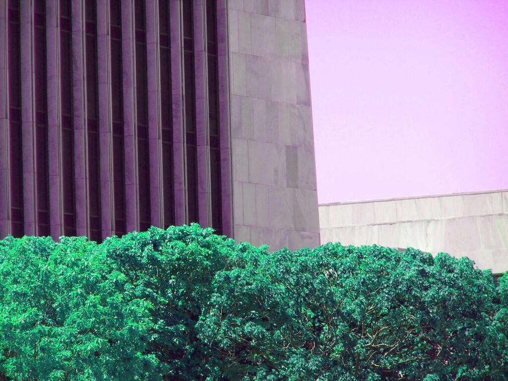 Photo: Untitled