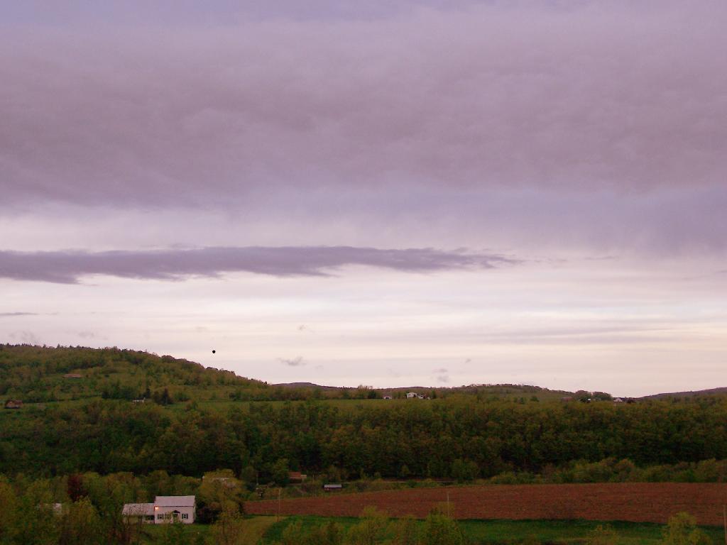 Photo: Morning Photo: Morning