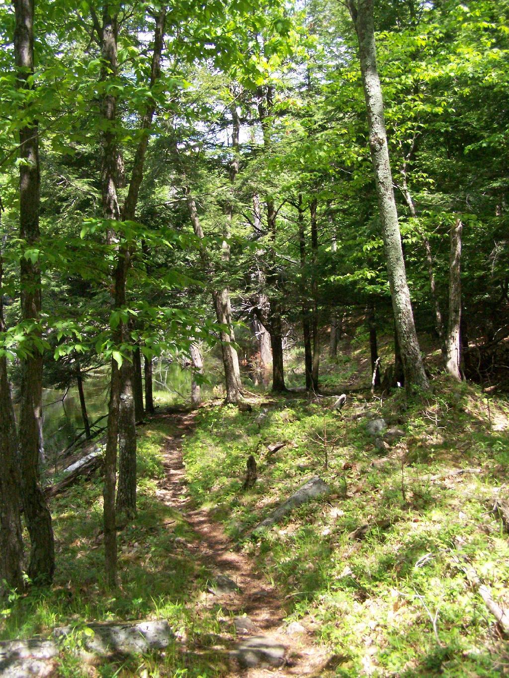 Photo: Hiking Photo: Hiking
