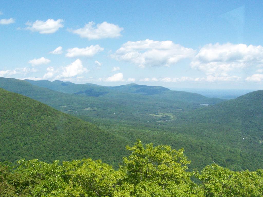 Photo: Tannersville Photo: Tannersville