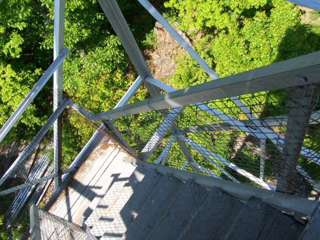 Photo: Not Afraid to Look Down