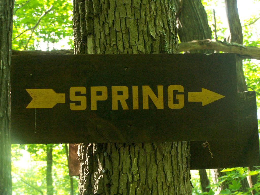 Photo: Spring
