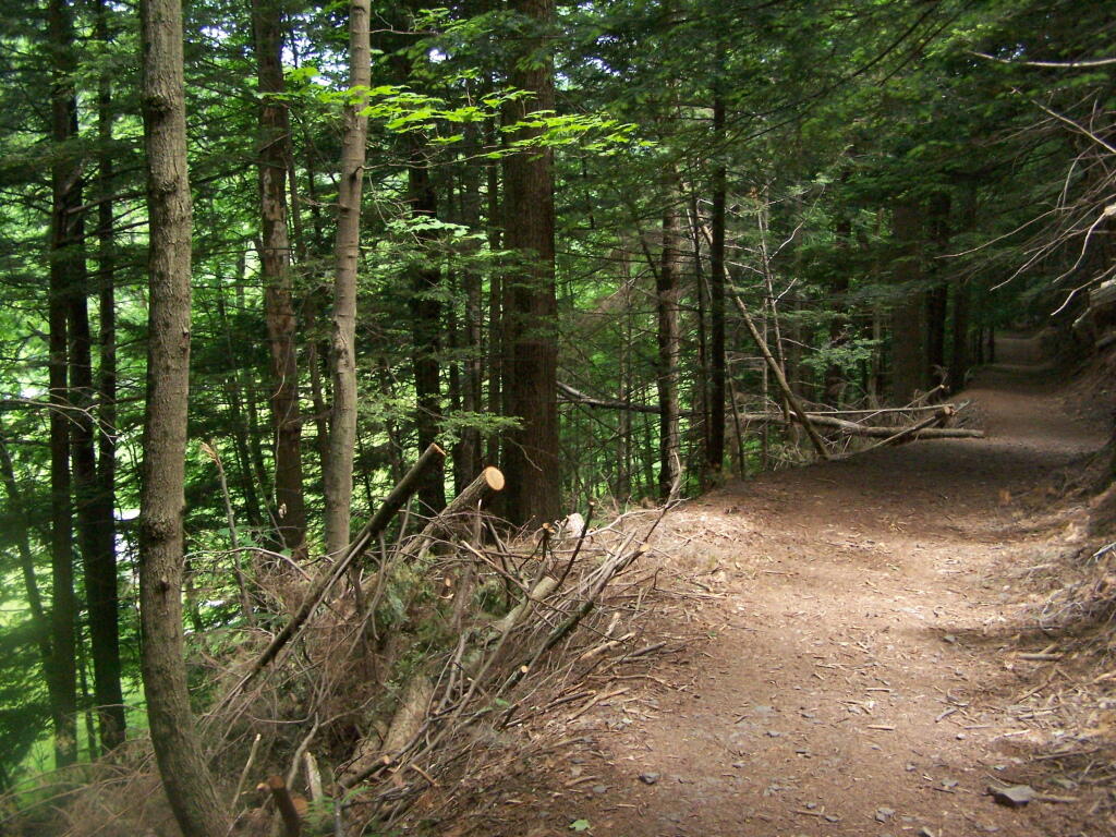 Photo: Old Road Bed