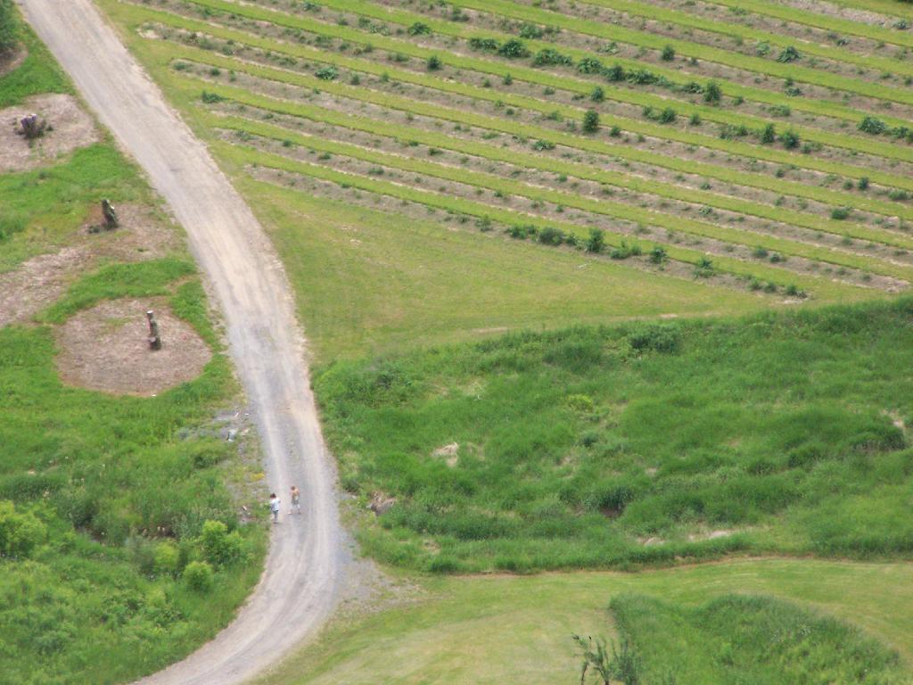 Photo: Dirt Road