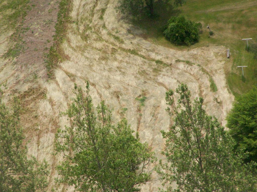 Photo: Hay Pattern