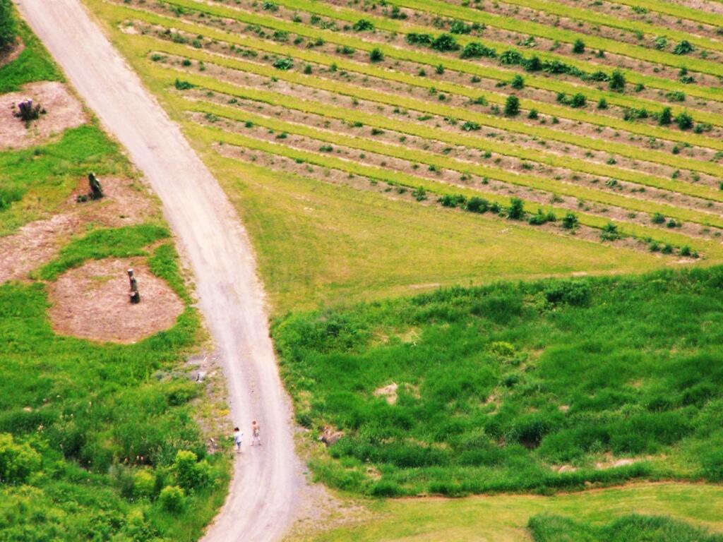 Photo: Walking
