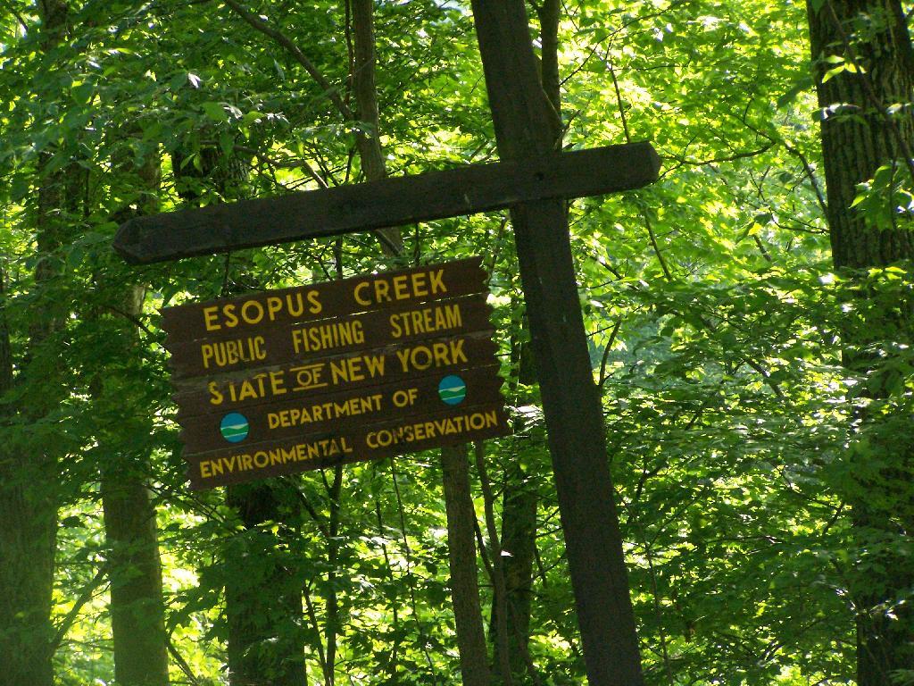 Photo: Esophosus Creek