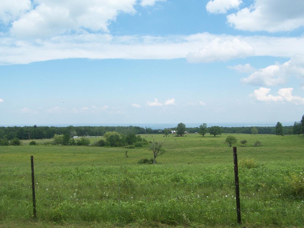 Photo: Pasture