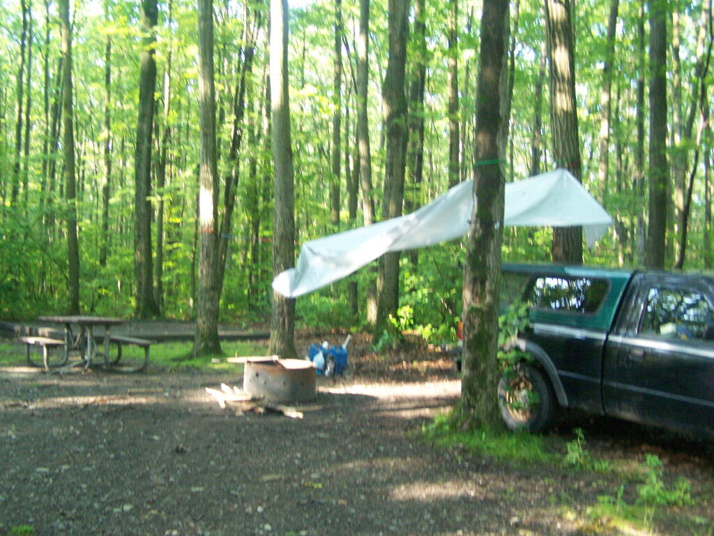Photo: The Digs