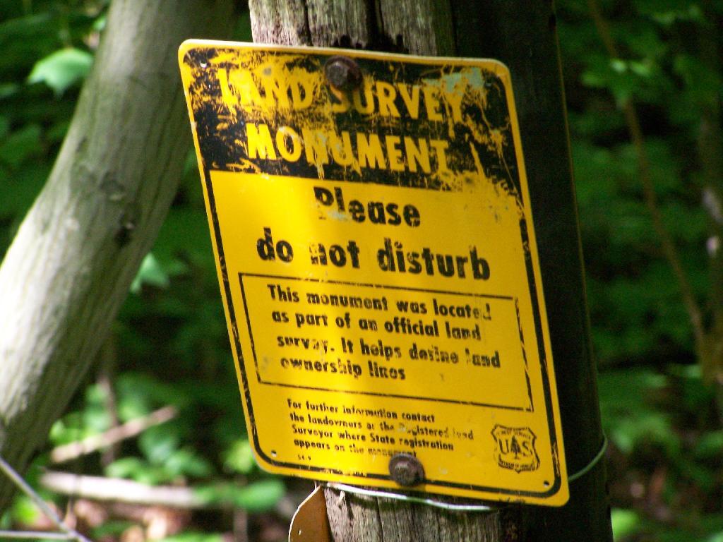 Photo: Land Survey Marker