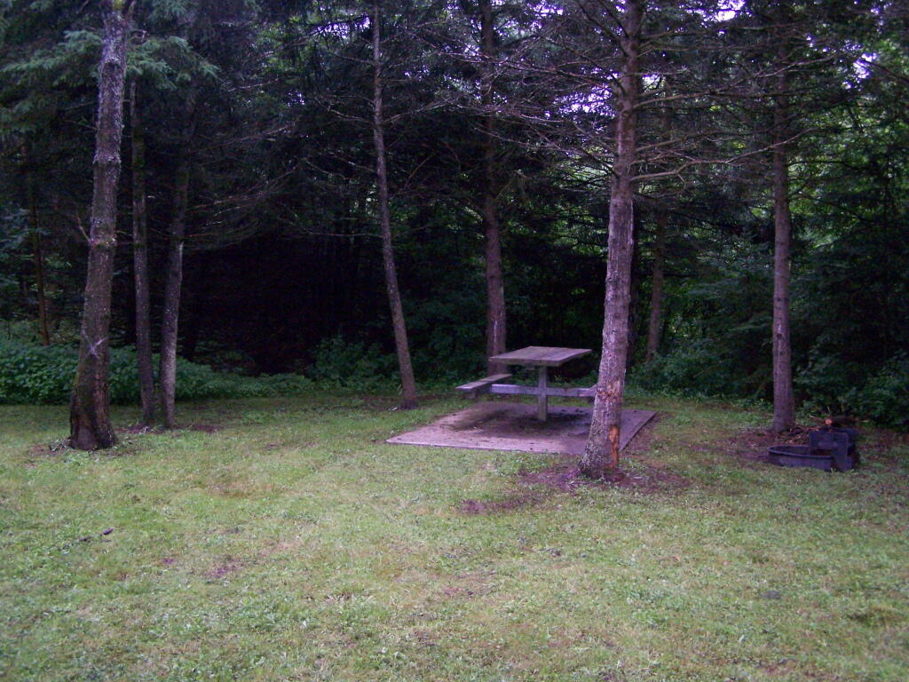 Photo: The Digs Photo: The Digs