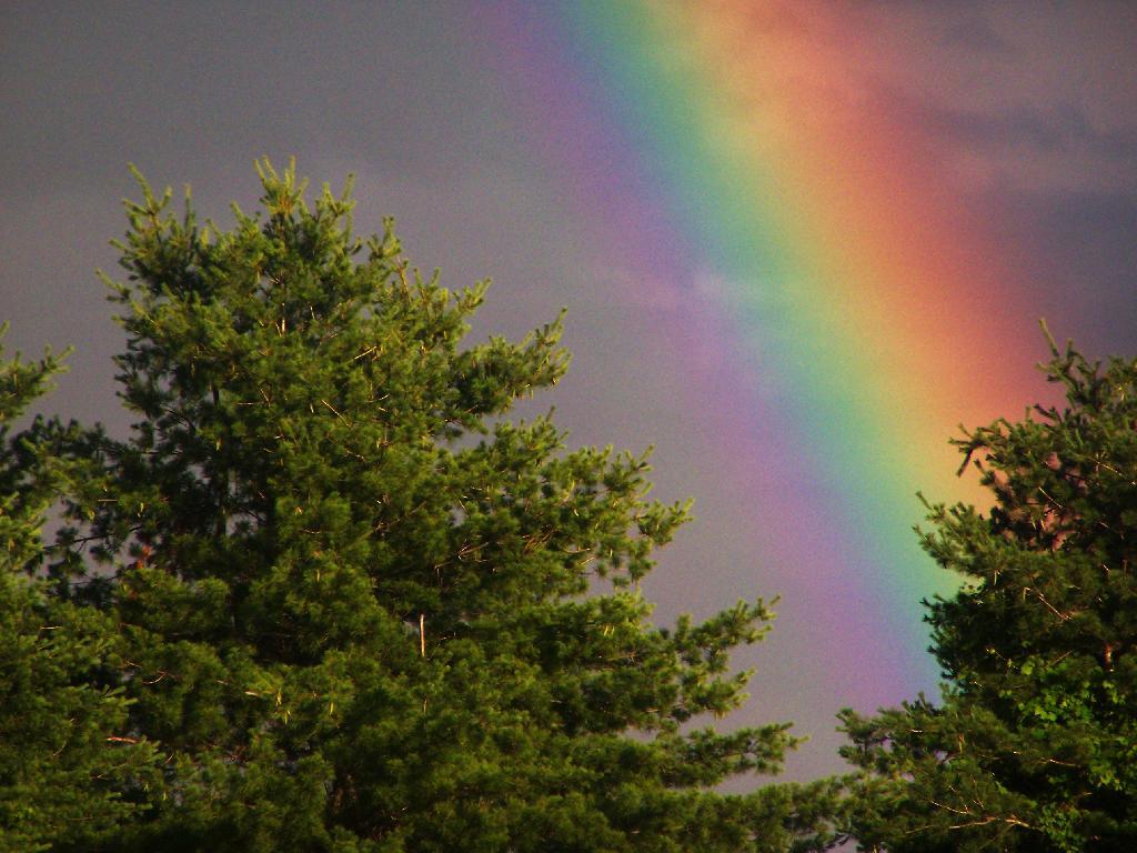 Photo: Pot of Gold