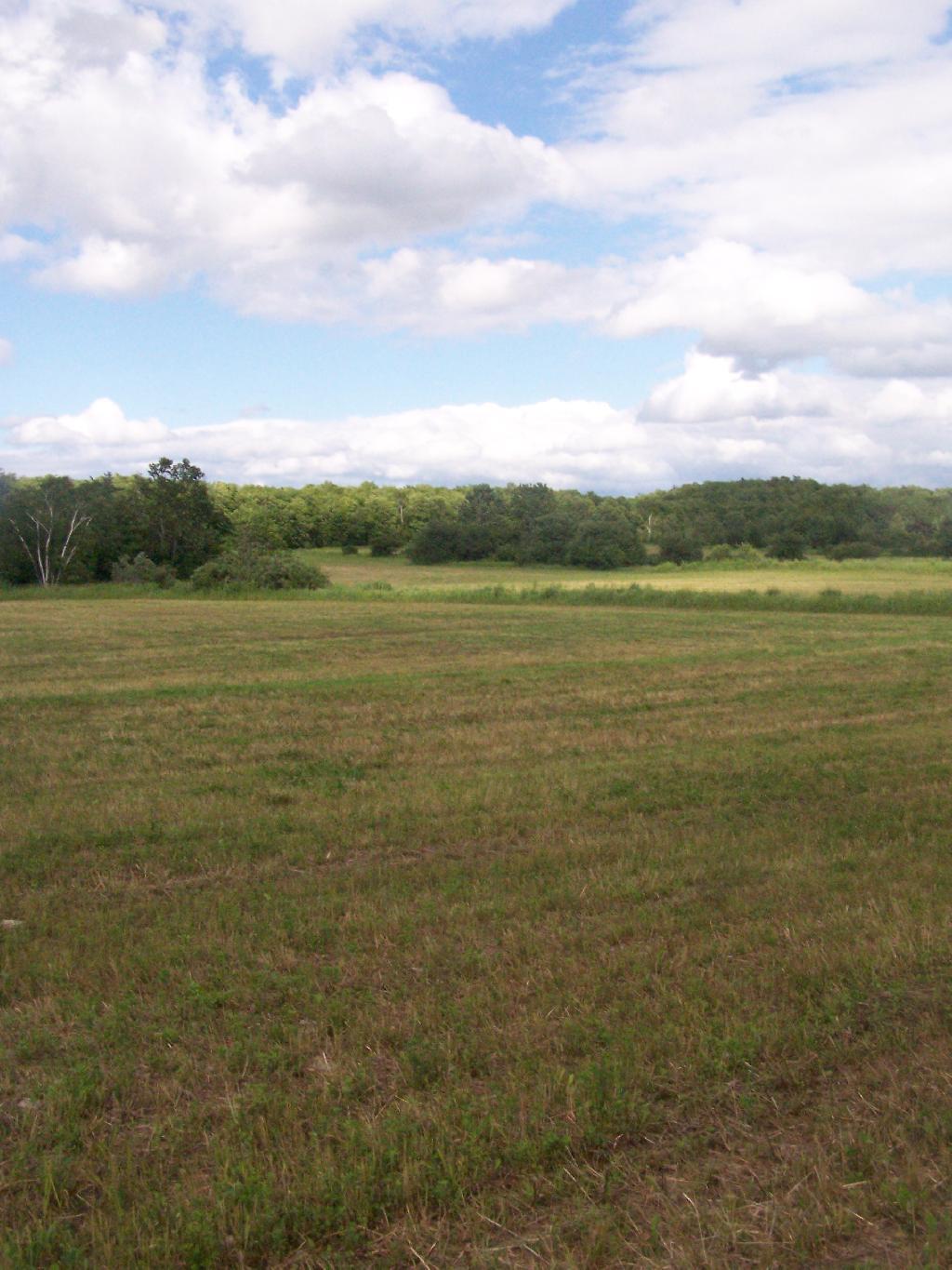 Photo: Field Photo: Field