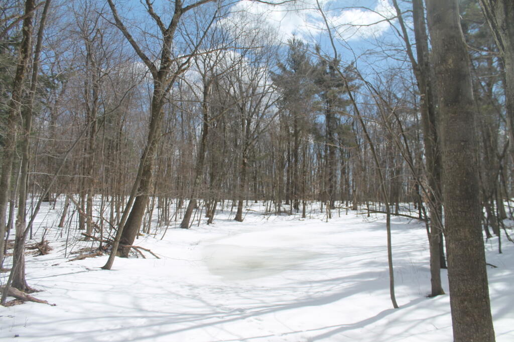 Photo: Opal Pond in the Winter Photo: Opal Pond in the Winter