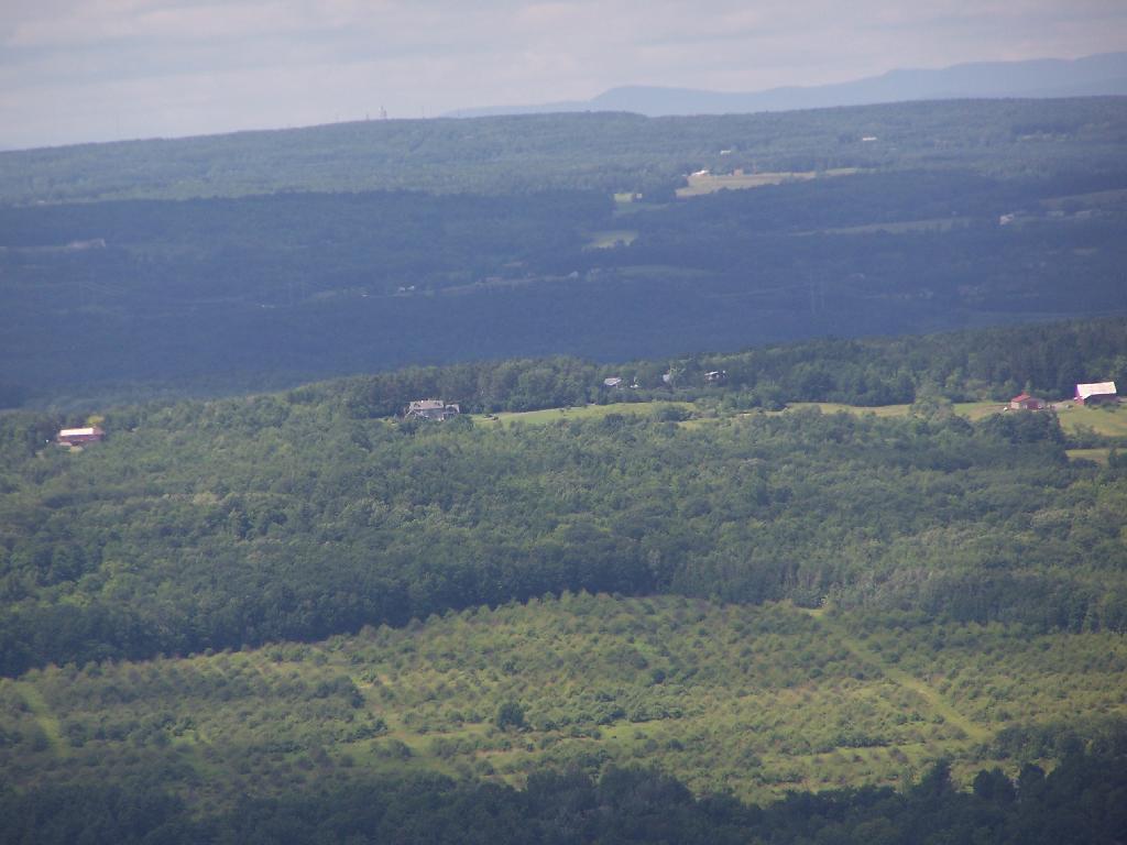 Photo: Altamont Orchards
