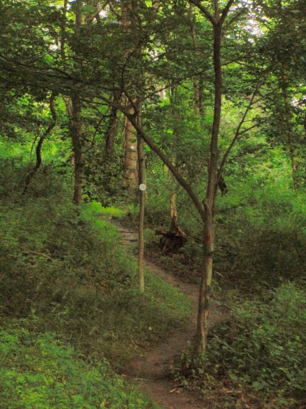 Photo: Winding Over the Ridge