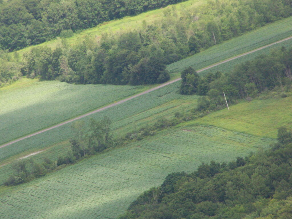 Photo: Corn Photo: Corn