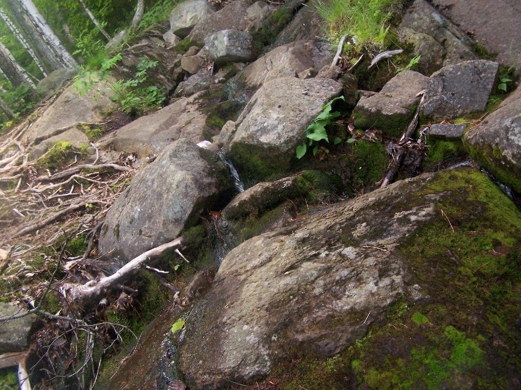 Photo: Mini Waterfall Photo: Mini Waterfall
